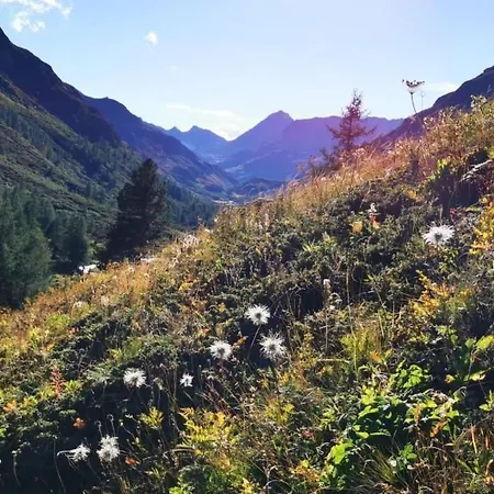 Via Charels Sur 8 By Interhome *