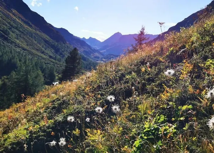 Via Charels Sur 8 By Interhome *