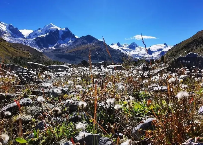 Via Charels Sur 8 By Interhome Appartamento Bever